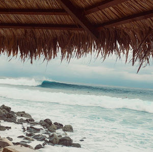 Meet your Posher, Evan